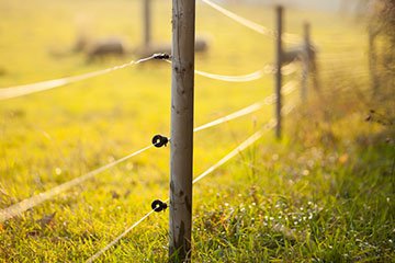 Electric Fence 